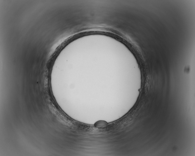 X0000115501360200912041029