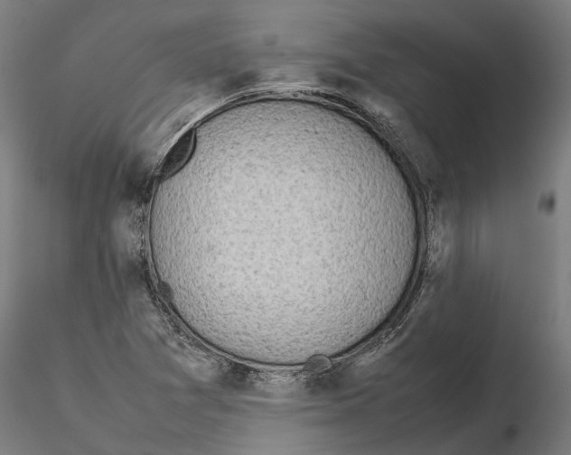 X0000115501361200912041029