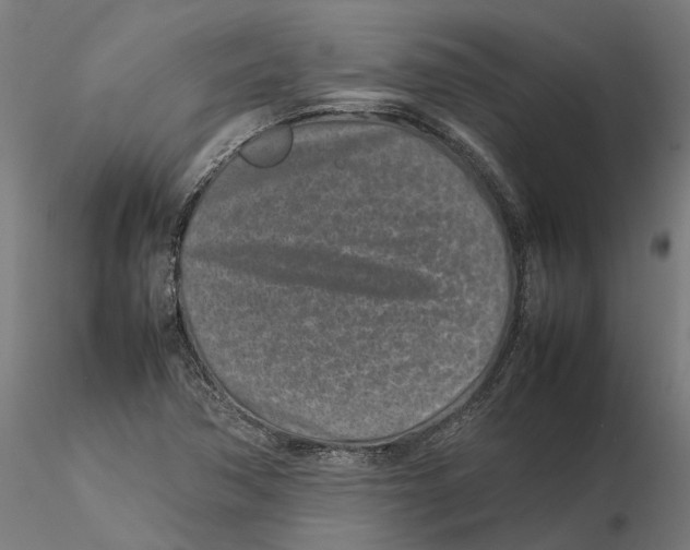 X0000115501362200912041029