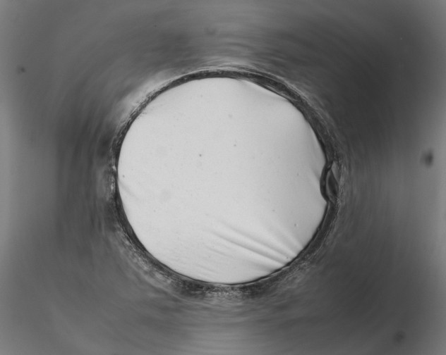 X0000115501363200912041029