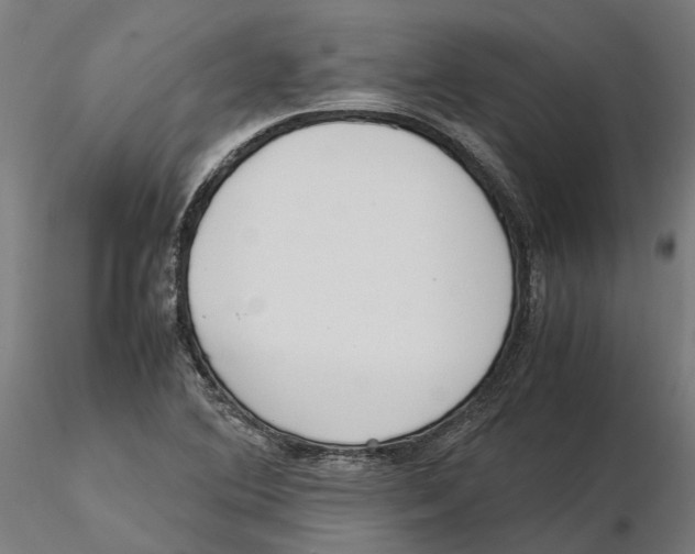 X0000115501364200912041029