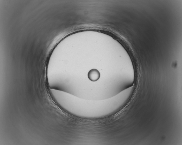 X0000115501365200912041029