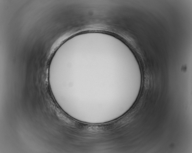 X0000115501366200912041029