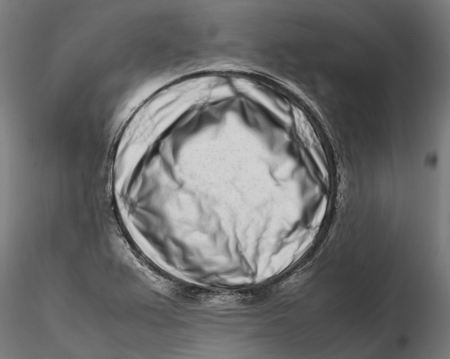 X0000115501367200912041029