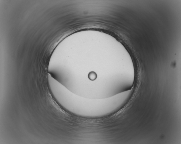 X0000115501369200912041029
