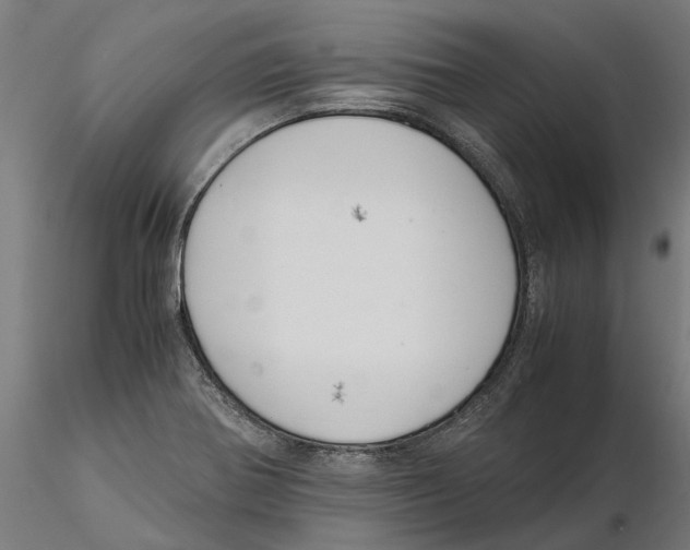 X0000115501370200912041029