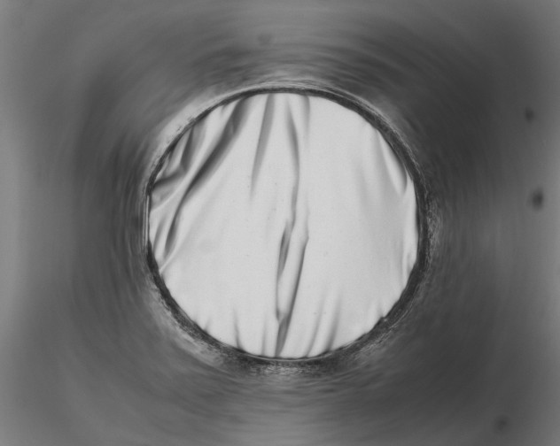 X0000115501371200912041029