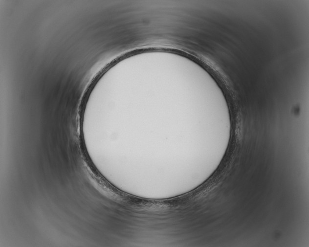 X0000115501372200912041029