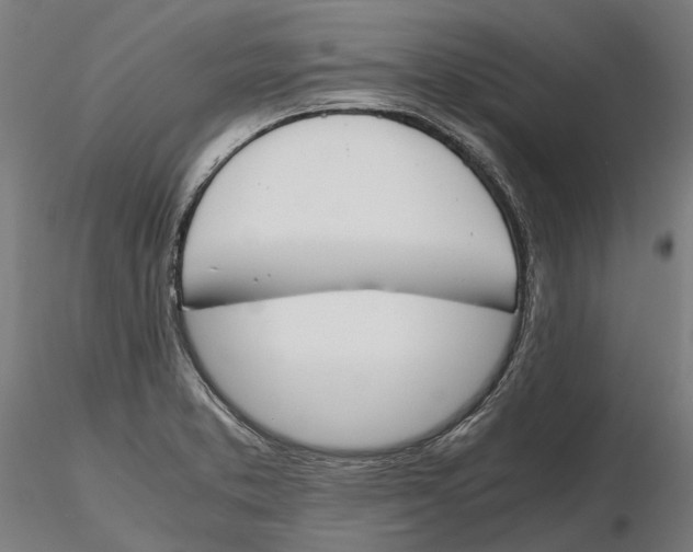X0000115501373200912041028