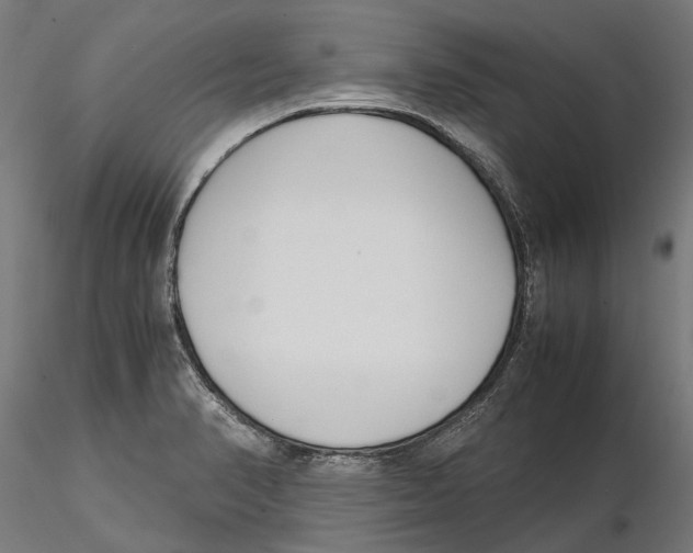 X0000115501374200912041028