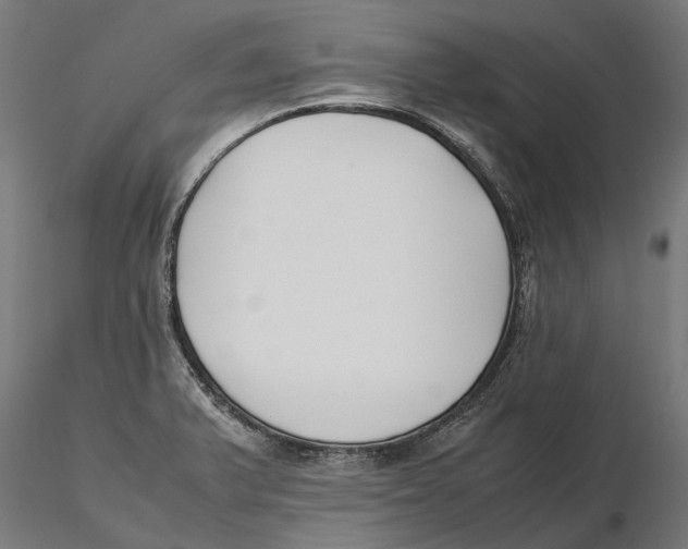 X0000115501375200912041028