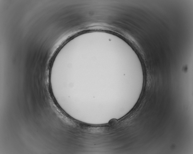 X0000115501376200912041028