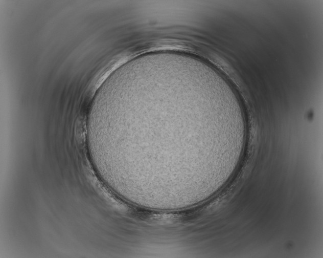 X0000115501377200912041028