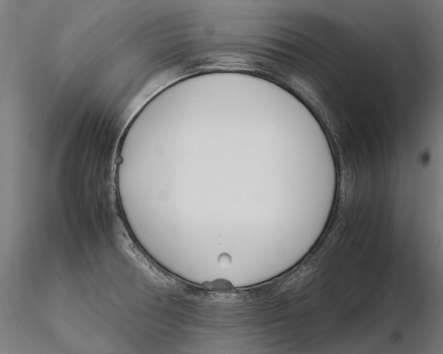 X0000115501378200912041028