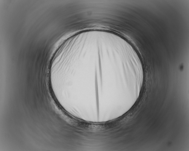 X0000115501379200912041028