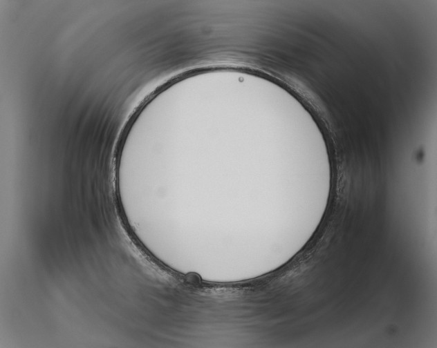 X0000115501380200912041028