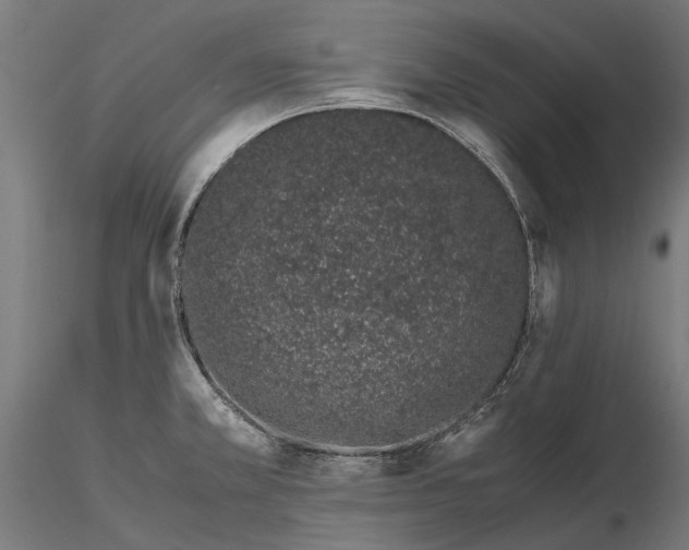 X0000115501381200912041028