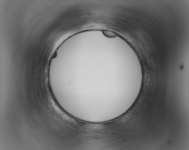 X0000115501382200912041028