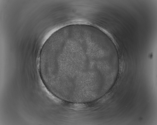 X0000115501383200912041028