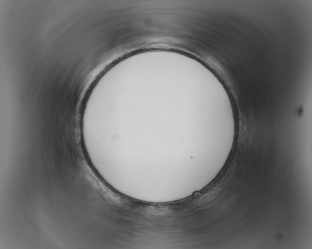 X0000115501384200912041028