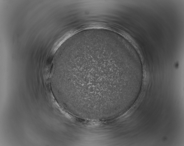 X0000115501385200912041028