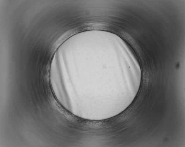 X0000115501386200912041028
