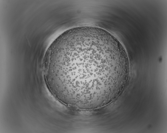 X0000115501389200912041028