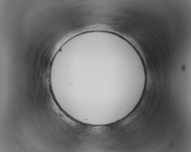 X0000115501390200912041028