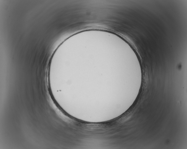 X0000115501391200912041028