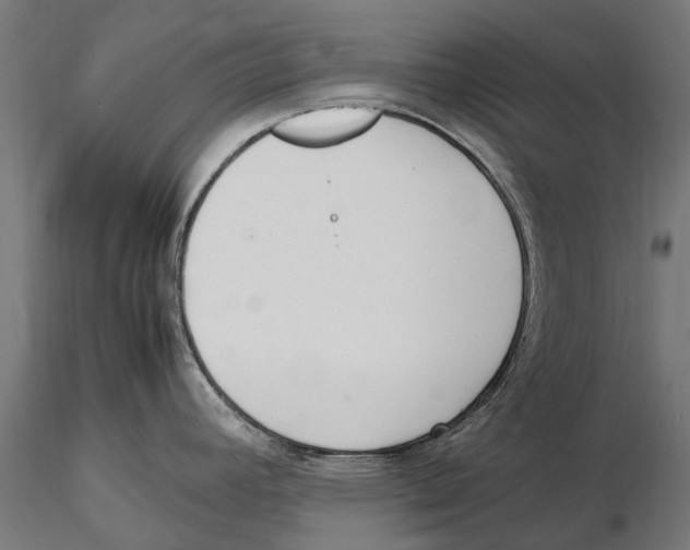 X0000115501392200912041028