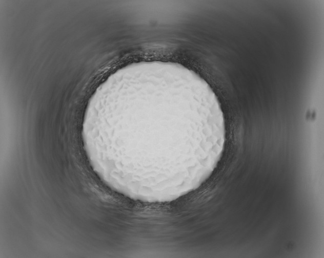 X0000115501393200912041027