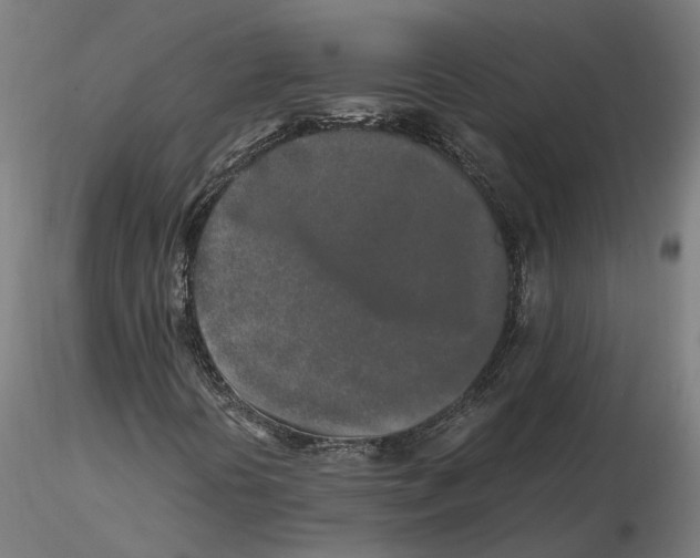 X0000115501394200912041027