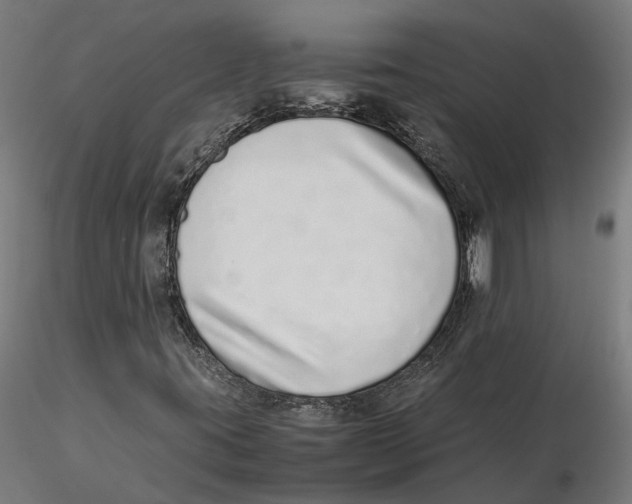 X0000115501395200912041027