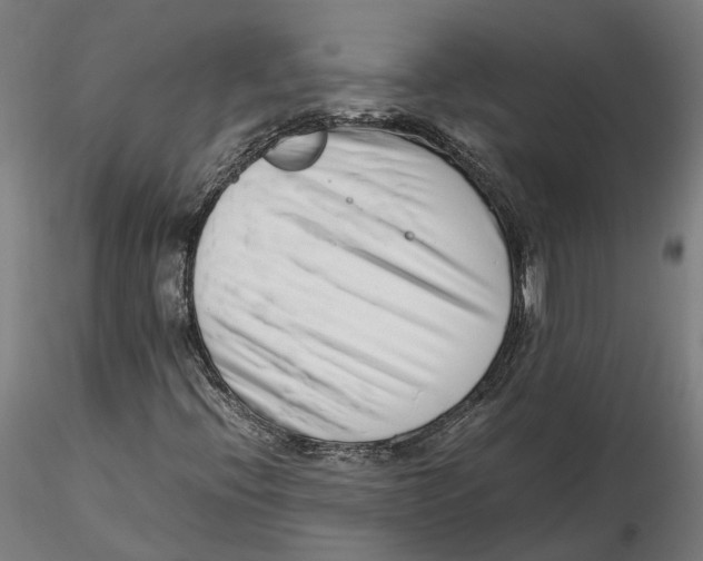 X0000115501396200912041027