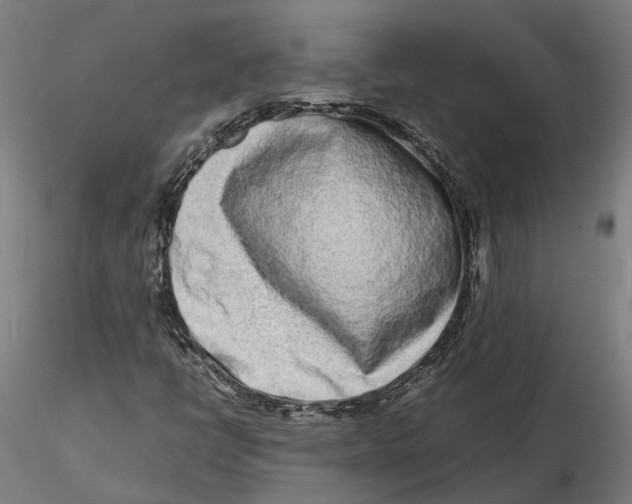 X0000115501398200912041027