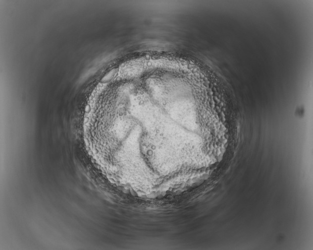 X0000115501399200912041027