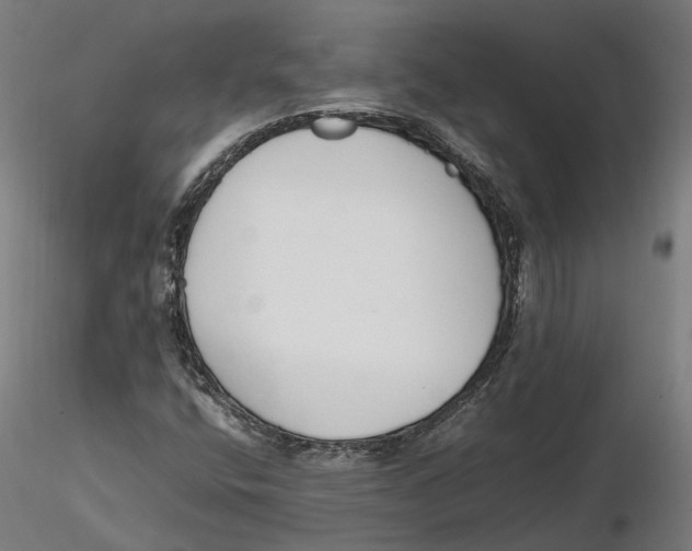 X0000115501400200912041027