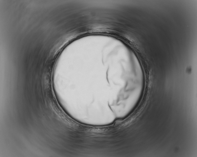 X0000115501401200912041027