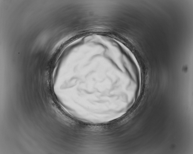 X0000115501402200912041027