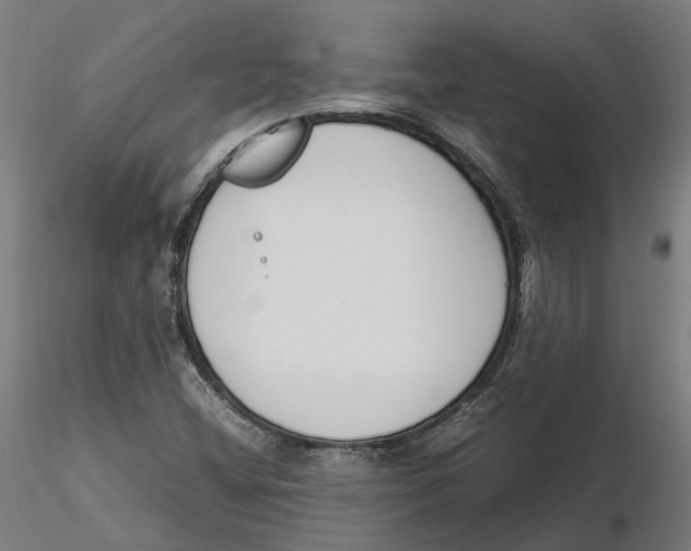 X0000115501404200912041027