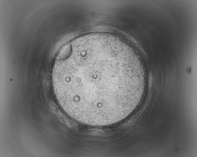 X0000115501405200912041027