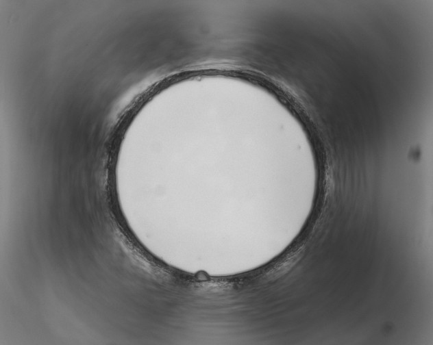 X0000115501406200912041027