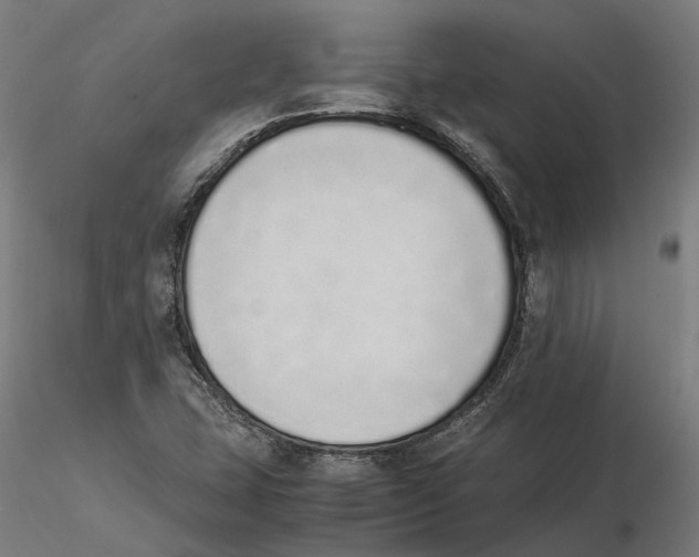 X0000115501407200912041027
