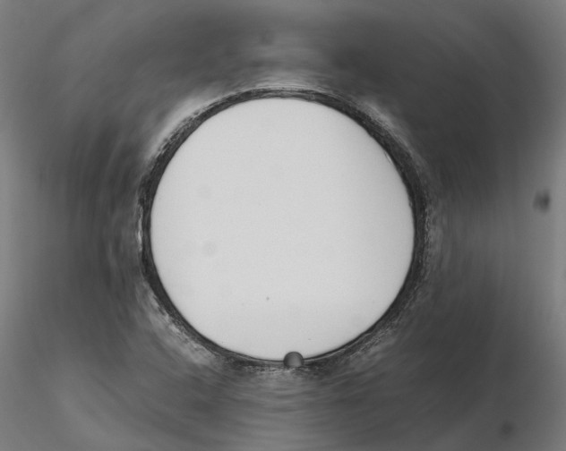 X0000115501408200912041027