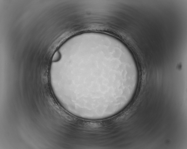 X0000115501409200912041027