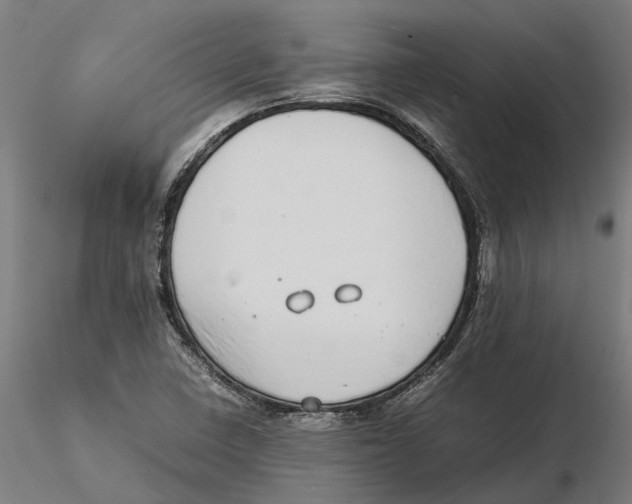 X0000115501410200912041027