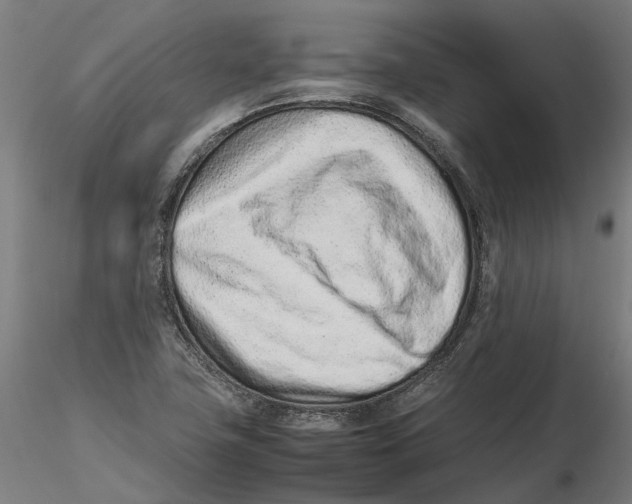 X0000115501411200912041027
