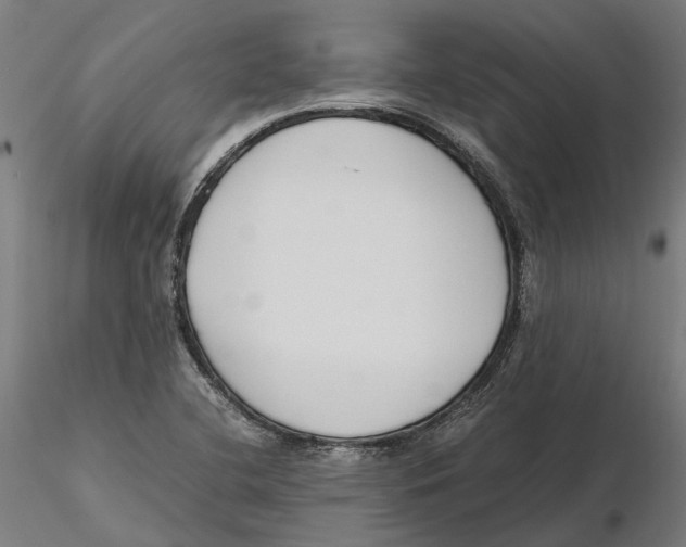 X0000115501412200912041027