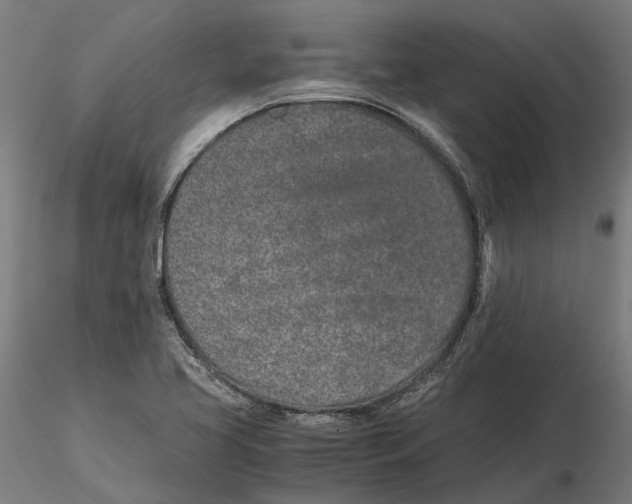 X0000115501413200912041028