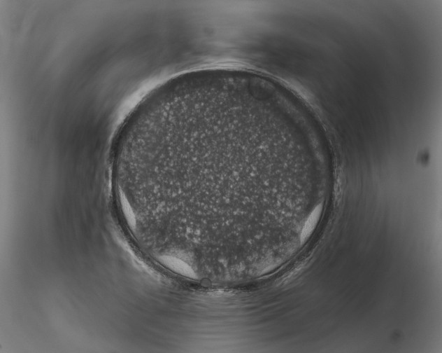 X0000115501414200912041028